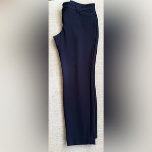 Express Navy Skinny Pants